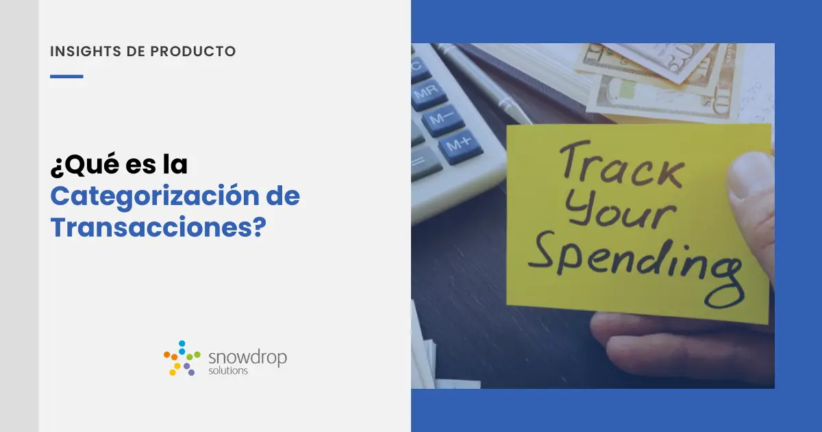 ¿Que és la categorización de transacciones?